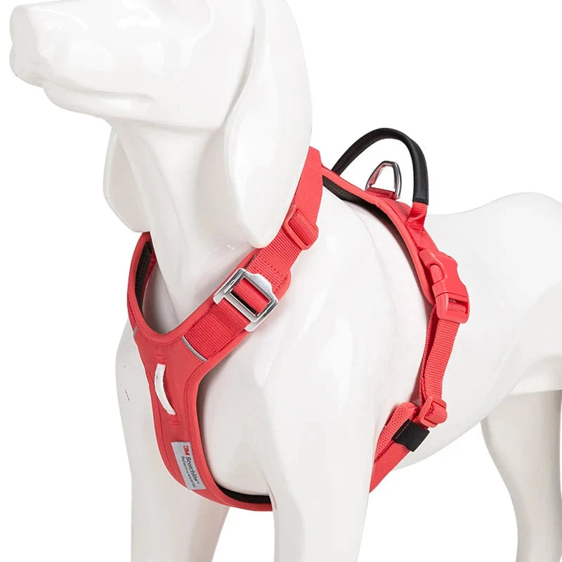 Small Combination - Kleurrijk Reflecterend Anti-Trek Hondentuigje